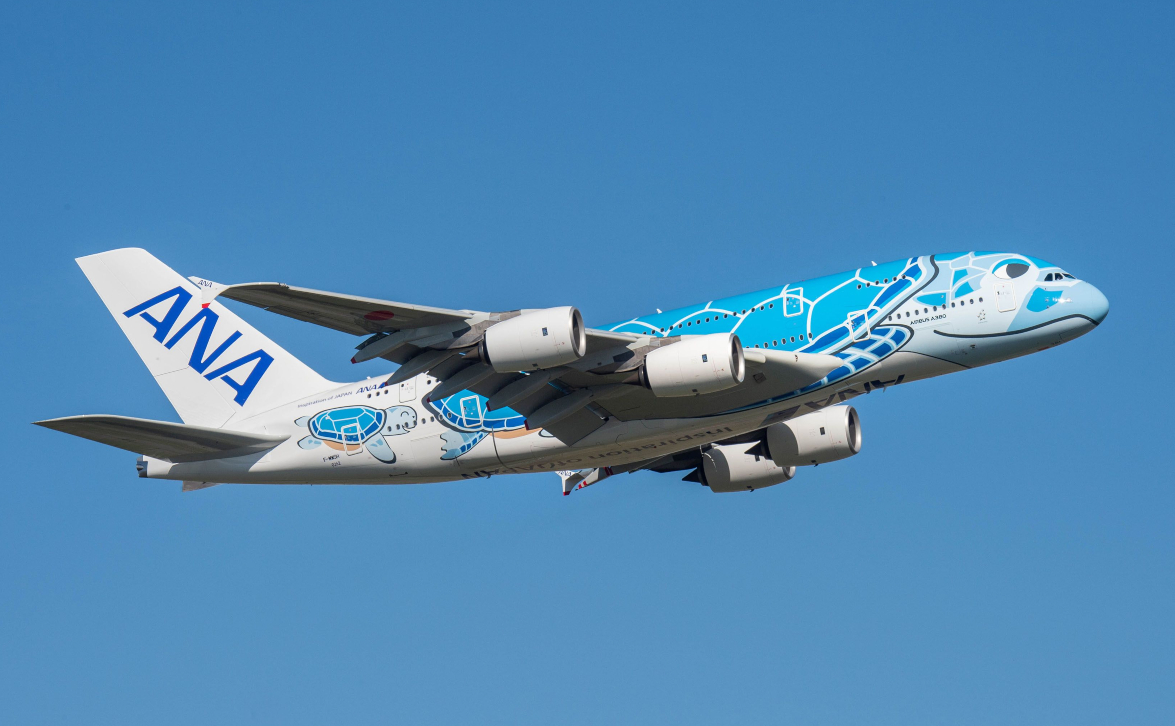 Japan allows ANA mixed fleet flight