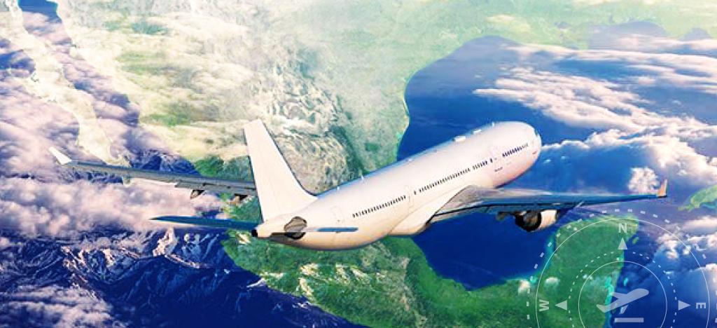 El ecosistema aéreo